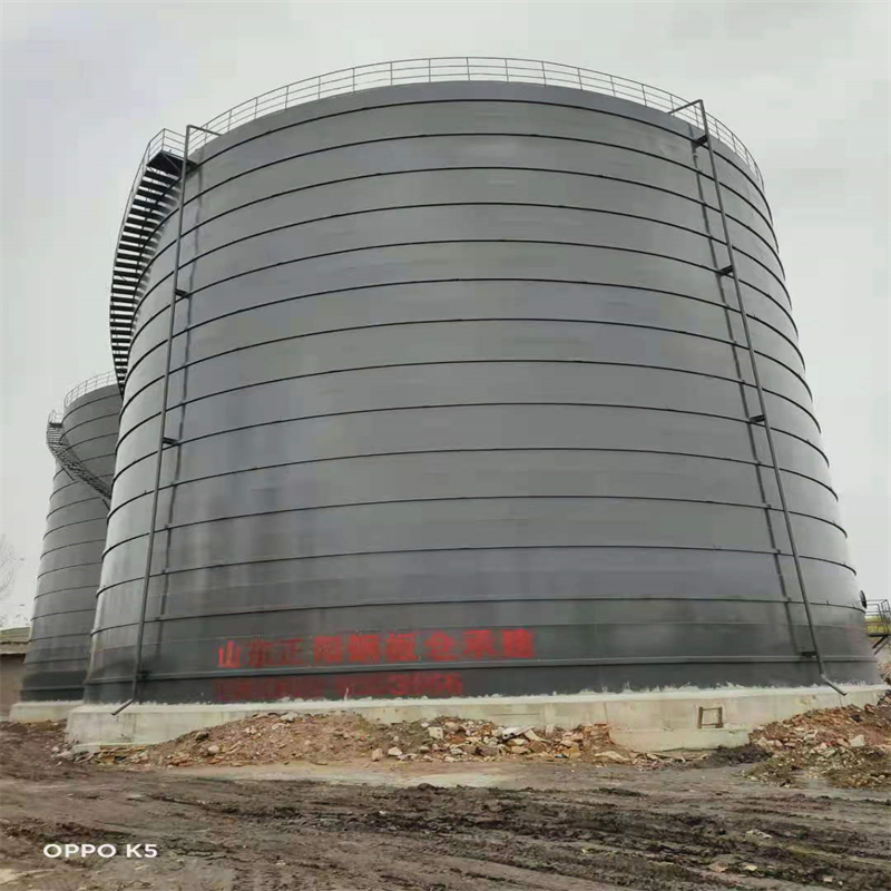 七星3万吨大型钢板库