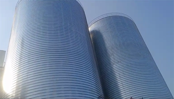 七星2座混凝土高架卷板仓